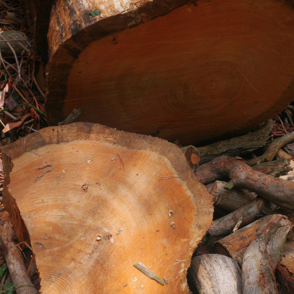 aree-di-impiego-arredamento-industria-legno